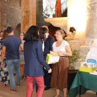 projeto escola com livros 026